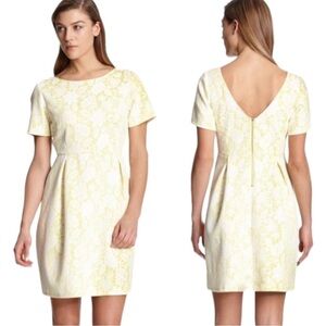 Robert Rodriguez Coll Dress Skye Bonded Lace Sunflower Yellow Maison Group S